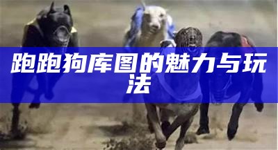 高清新一代的跑狗论坛5043：探索新技术与用户体验的完美结合