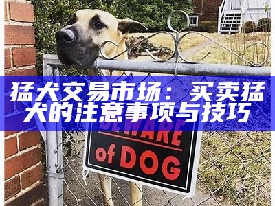 猛犬交易市场：买卖猛犬的注意事项与技巧