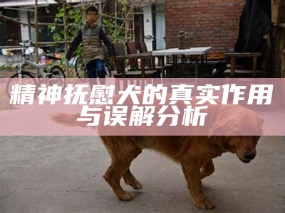 精神抚慰犬的真实作用与误解分析