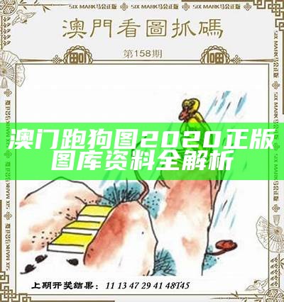 《2021年第49期澳门跑狗图：精彩内容与深度解析》