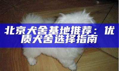 北京犬舍基地推荐：优质犬舍选择指南