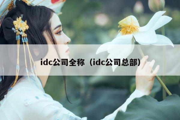 idc公司全称（idc公司总部）