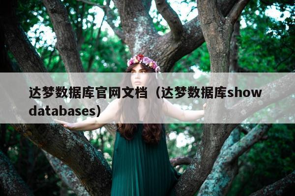 达梦数据库官网文档（达梦数据库show databases）