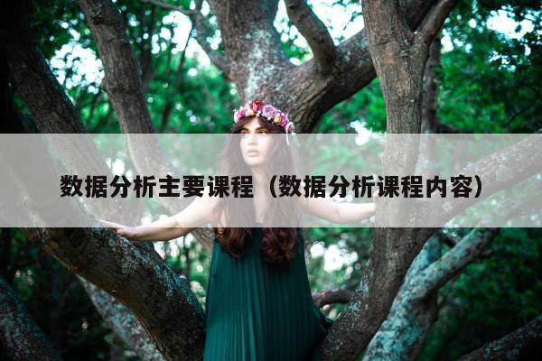 数据分析主要课程（数据分析课程内容）