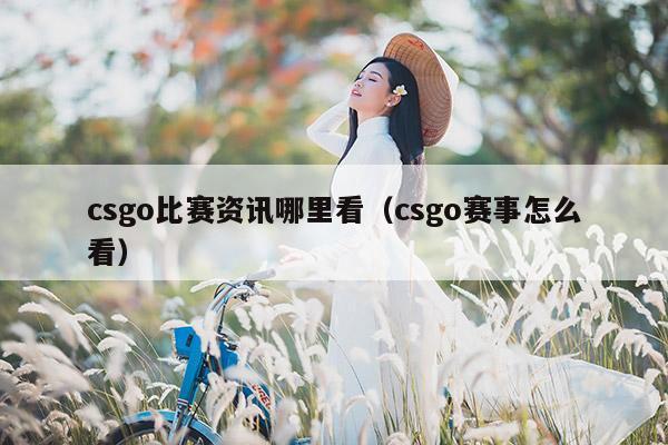 csgo比赛资讯哪里看（csgo赛事怎么看）