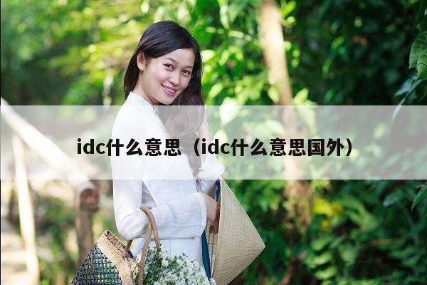 idc什么意思（idc什么意思国外）