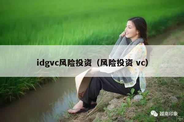 idgvc风险投资（风险投资 vc）