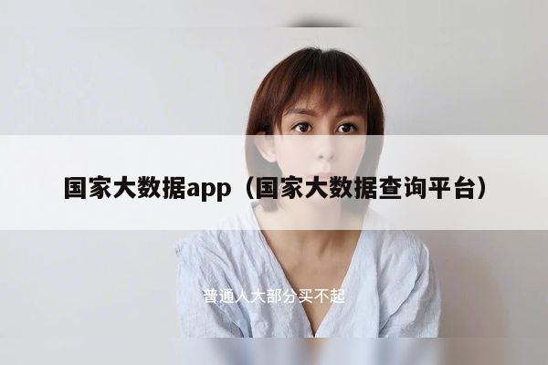 国家大数据app（国家大数据查询平台）