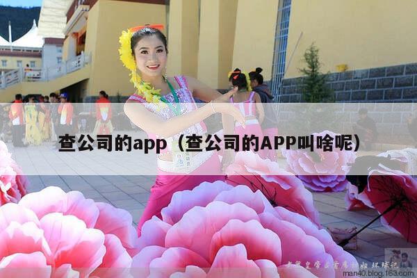 查公司的app（查公司的APP叫啥呢）