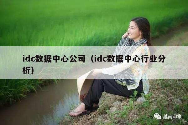 idc数据中心公司（idc数据中心行业分析）