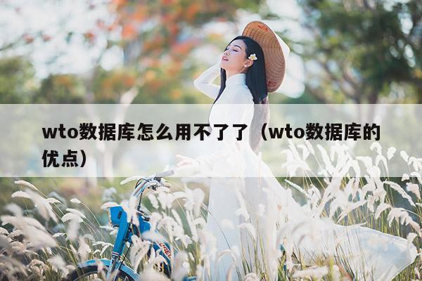 wto数据库怎么用不了了（wto数据库的优点）