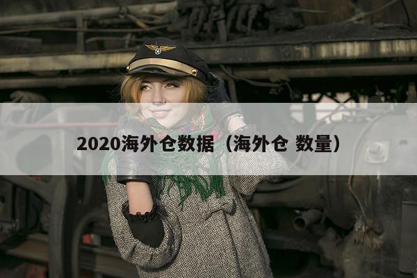 2020海外仓数据（海外仓 数量）