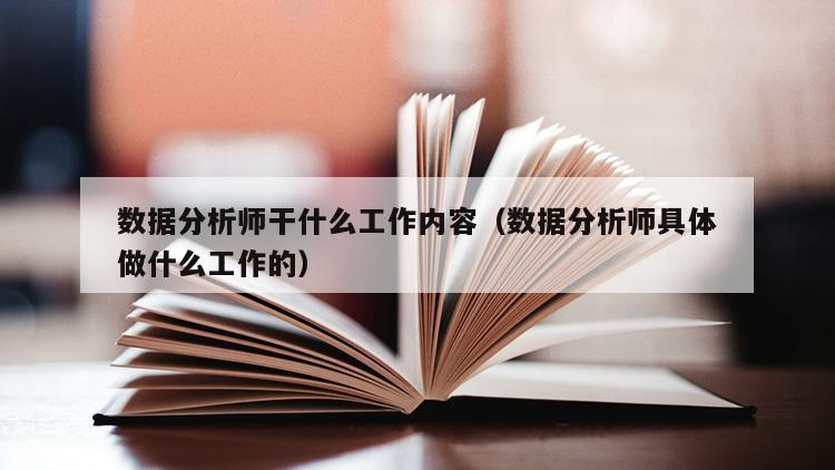 数据分析师干什么工作内容（数据分析师具体做什么工作的）