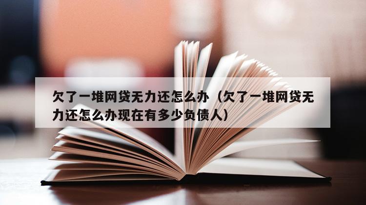 欠了一堆网贷无力还怎么办（欠了一堆网贷无力还怎么办现在有多少负债人）