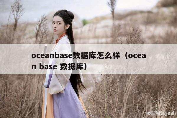 oceanbase数据库怎么样（ocean base 数据库）