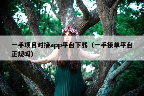 一手项目对接app平台下载（一手接单平台正规吗）