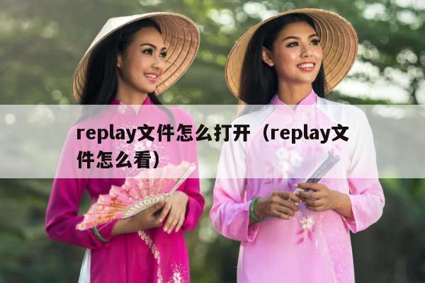 replay文件怎么打开（replay文件怎么看）