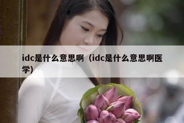 idc是什么意思啊（idc是什么意思啊医学）