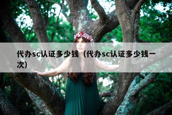 代办sc认证多少钱（代办sc认证多少钱一次）