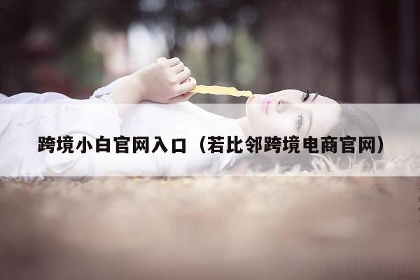 跨境小白官网入口（若比邻跨境电商官网）