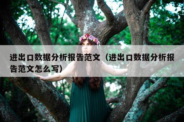 进出口数据分析报告范文（进出口数据分析报告范文怎么写）