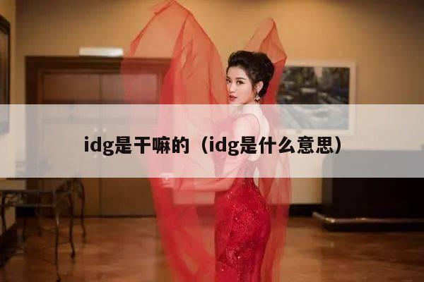 idg是干嘛的（idg是什么意思）