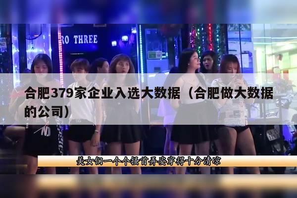 合肥379家企业入选大数据（合肥做大数据的公司）