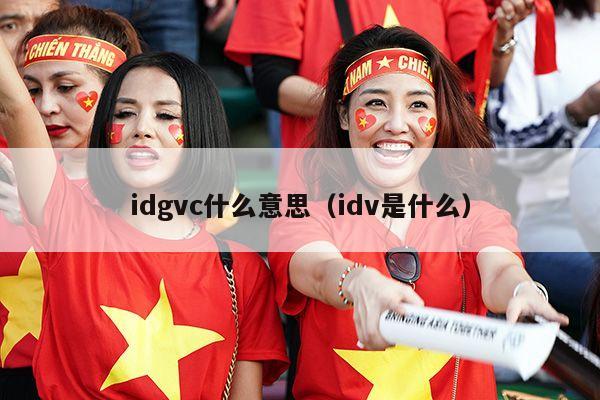 idgvc什么意思（idv是什么）