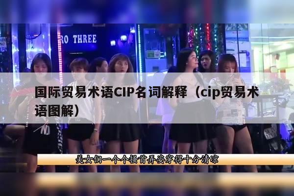 国际贸易术语CIP名词解释（cip贸易术语图解）