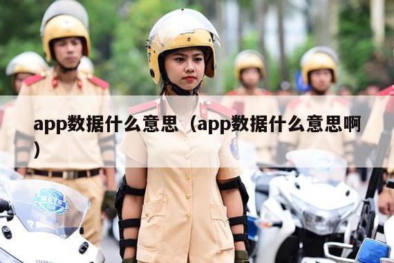 app数据什么意思（app数据什么意思啊）