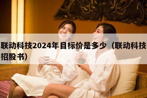 联动科技2024年目标价是多少（联动科技招股书）