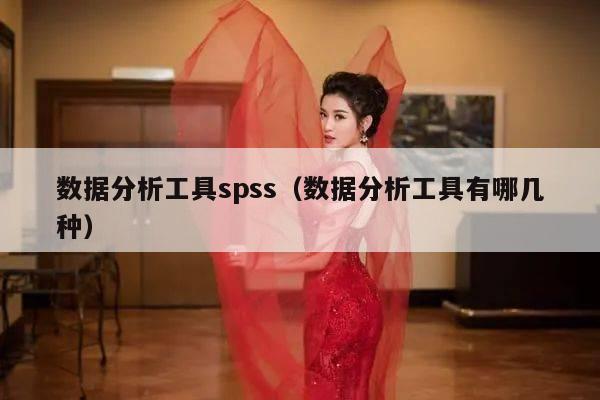 数据分析工具spss（数据分析工具有哪几种）