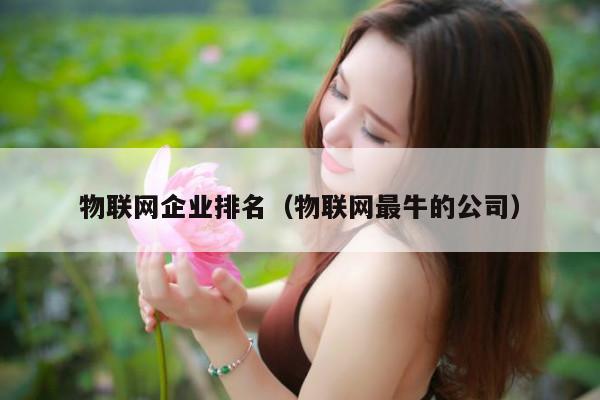 物联网企业排名（物联网最牛的公司）