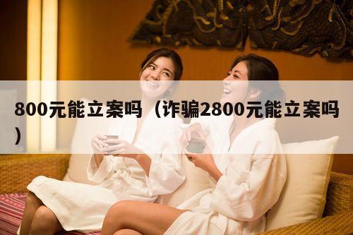 800元能立案吗（诈骗2800元能立案吗）