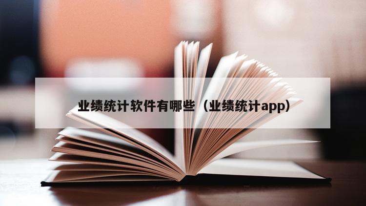 业绩统计软件有哪些（业绩统计app）