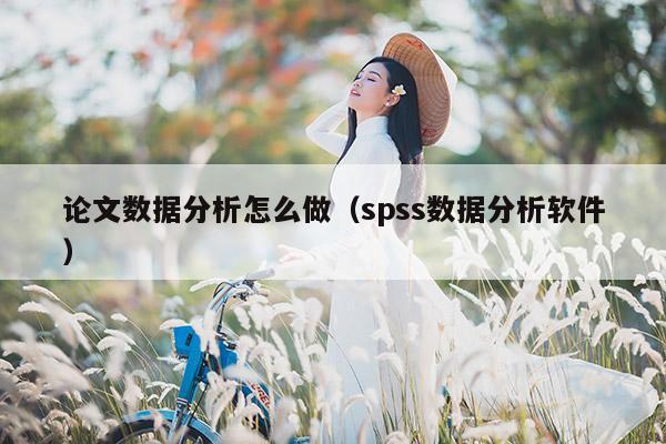 论文数据分析怎么做（spss数据分析软件）