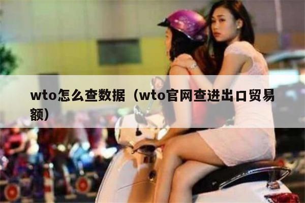 wto怎么查数据（wto官网查进出口贸易额）