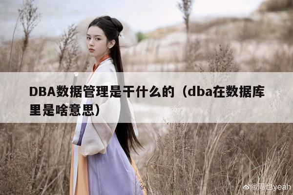 DBA数据管理是干什么的（dba在数据库里是啥意思）