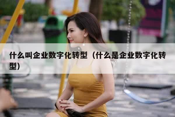 什么叫企业数字化转型（什么是企业数字化转型）