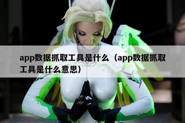 app数据抓取工具是什么（app数据抓取工具是什么意思）