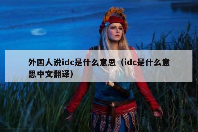 外国人说idc是什么意思（idc是什么意思中文翻译）