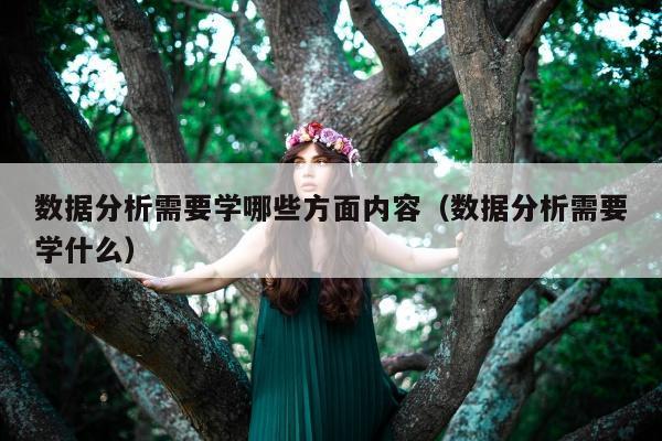 数据分析需要学哪些方面内容（数据分析需要学什么）