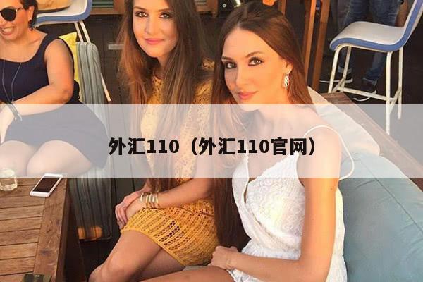 外汇110（外汇110官网）