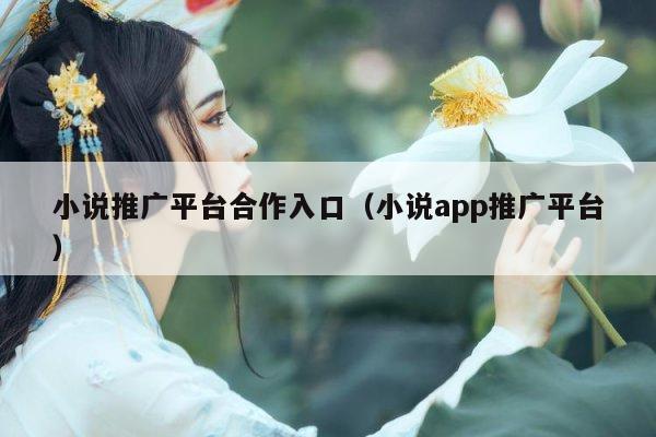 小说推广平台合作入口（小说app推广平台）