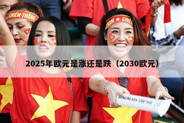 2025年欧元是涨还是跌（2030欧元）