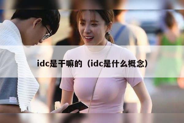 idc是干嘛的（idc是什么概念）