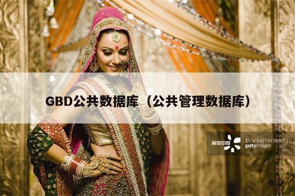 GBD公共数据库（公共管理数据库）