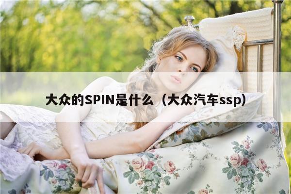 大众的SPIN是什么（大众汽车ssp）