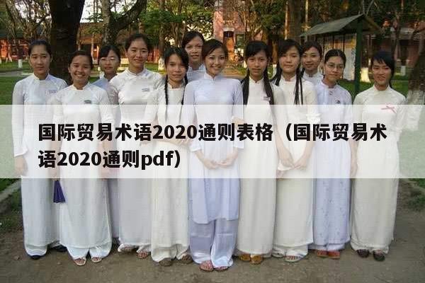 国际贸易术语2020通则表格（国际贸易术语2020通则pdf）