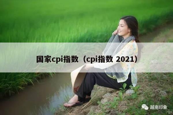 国家cpi指数（cpi指数 2021）